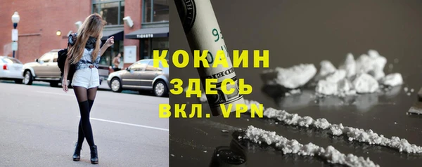 ГАЛЛЮЦИНОГЕННЫЕ ГРИБЫ Кулебаки