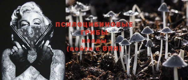 тгк Кукмор