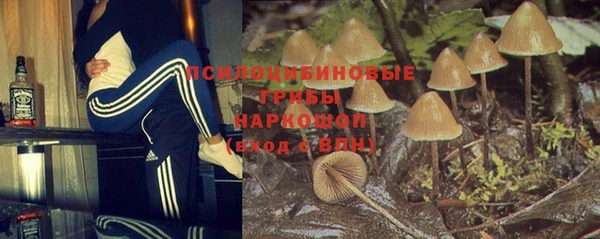 2c-b Алзамай